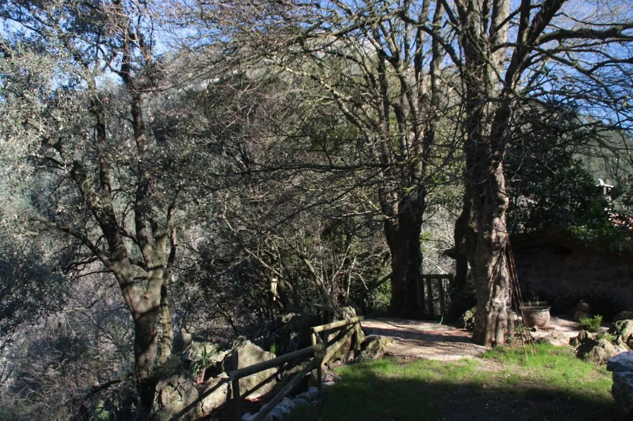 度假居 Domocantabria, Cupula Experiencias Sobremazas
